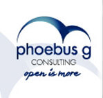 Phoebus G Consulting